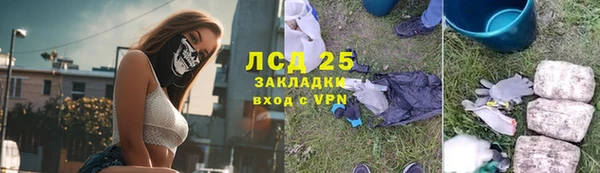 мескалин Богданович