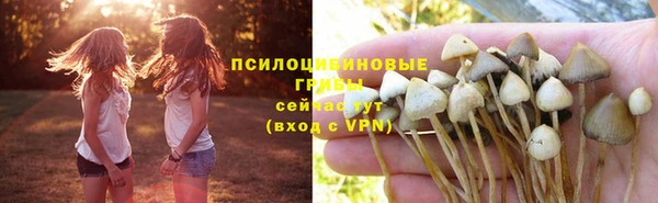 PSILOCYBIN Богородицк