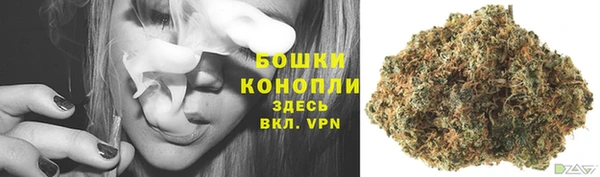 мескалин Богданович