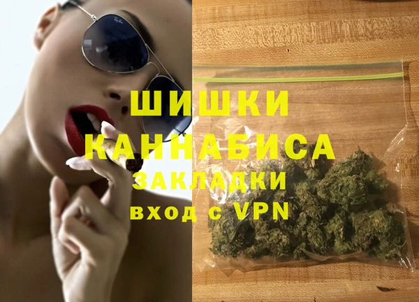 PSILOCYBIN Богородицк