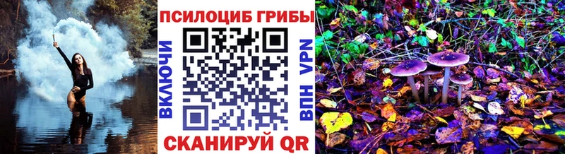 Псилоцибиновые грибы GOLDEN TEACHER  Кондопога 